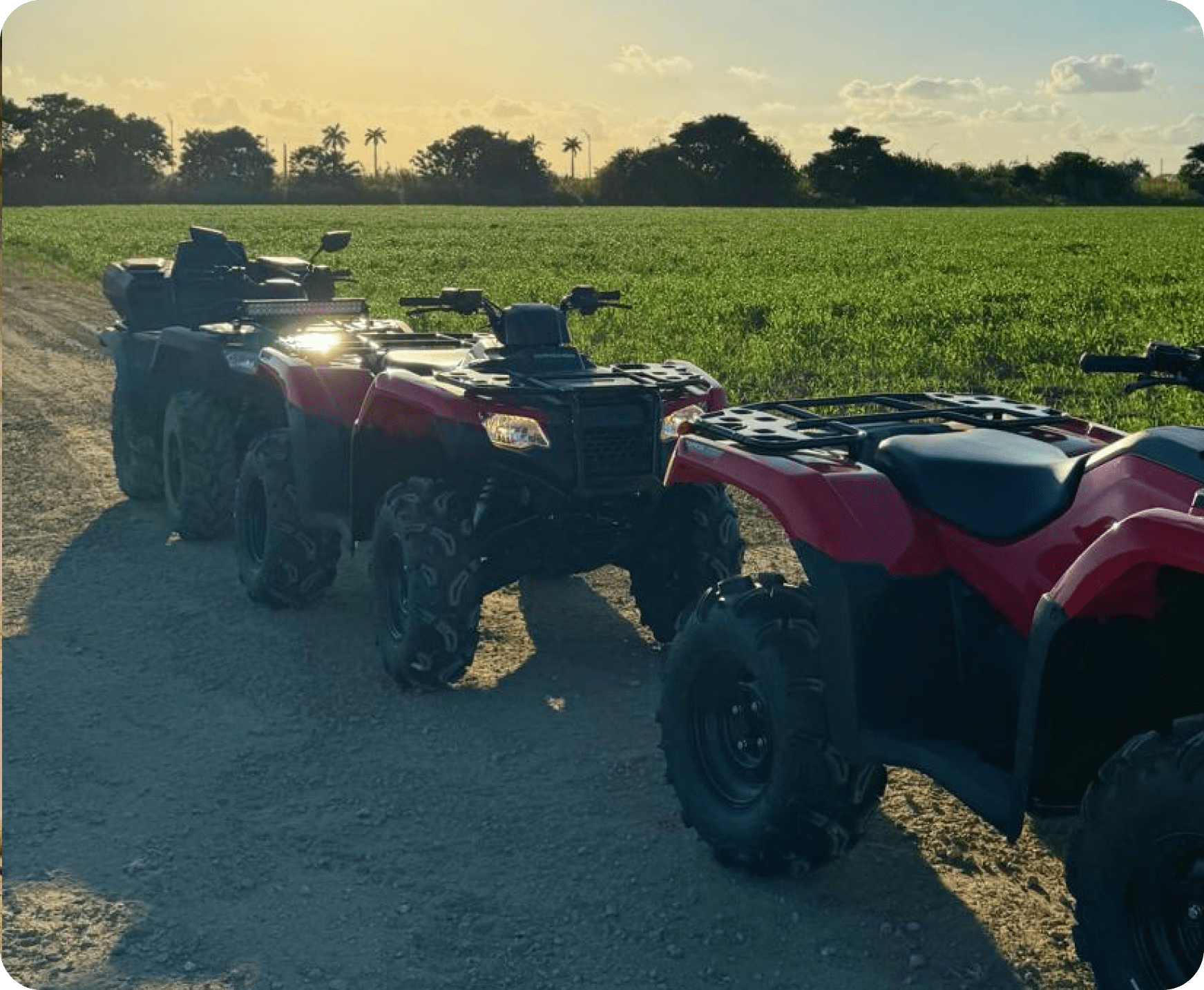 ATV Rentals
