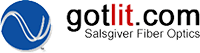 Salsgiver