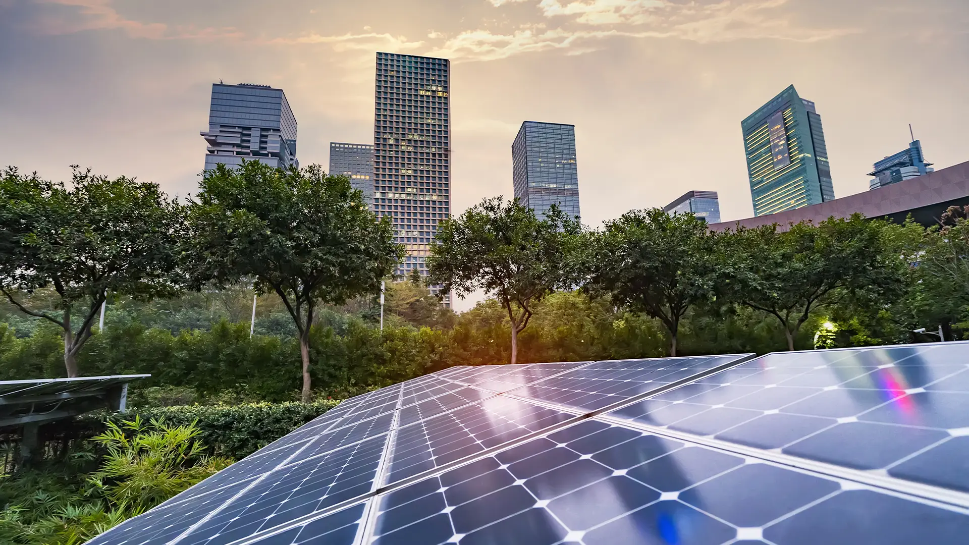 We firmly believe in the transformative power of solar energy. In this article, we will...