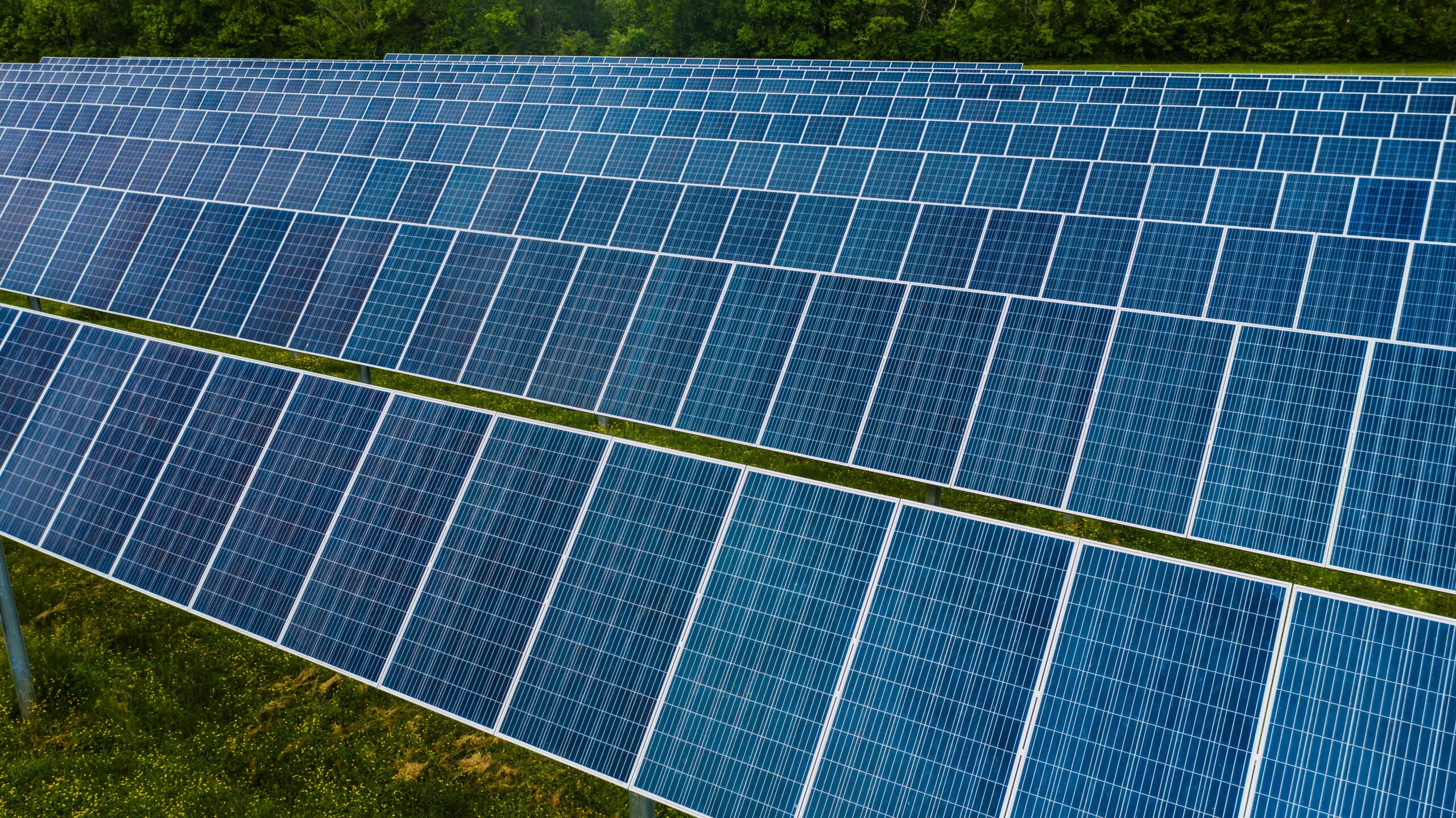 Choosing the right solar installers is crucial to ensuring a smooth and efficient transition to...