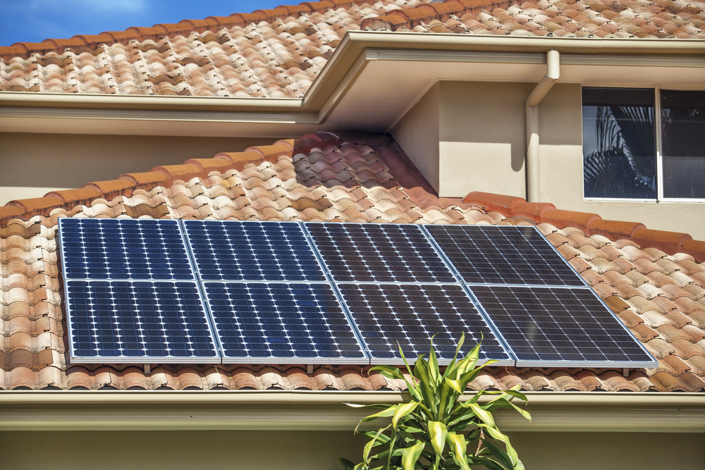 Leasing vs. Buying Solar Panels – Which Is Best?