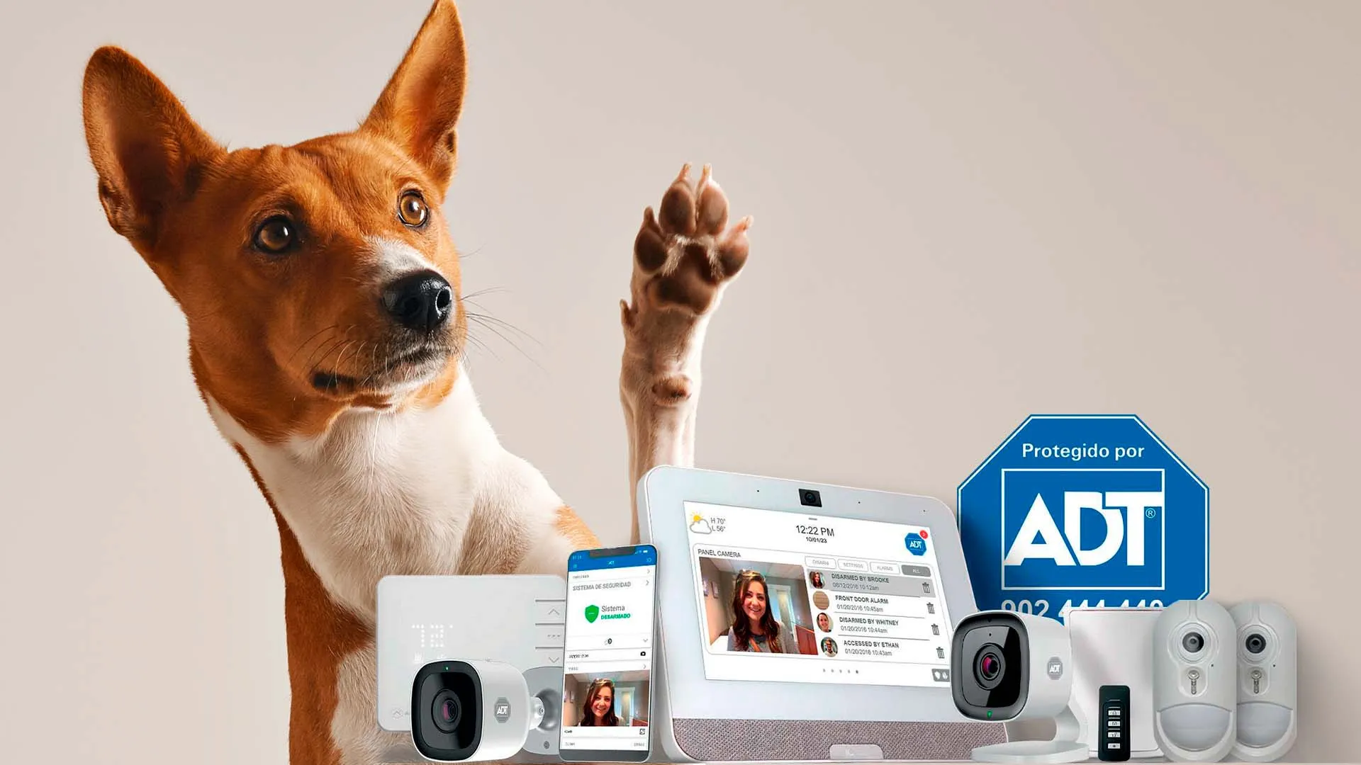 Pets and Home Security Alarms: Keeping Your Furry Friends Safe
